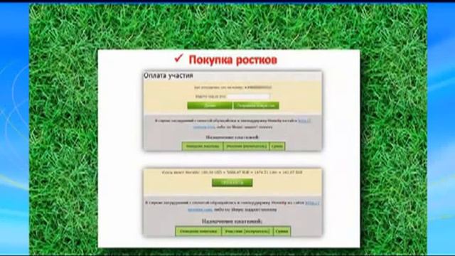Как работает проект Росток смотреть онлайн