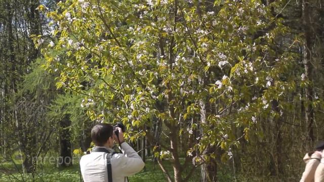 381956 1080p смотреть онлайн