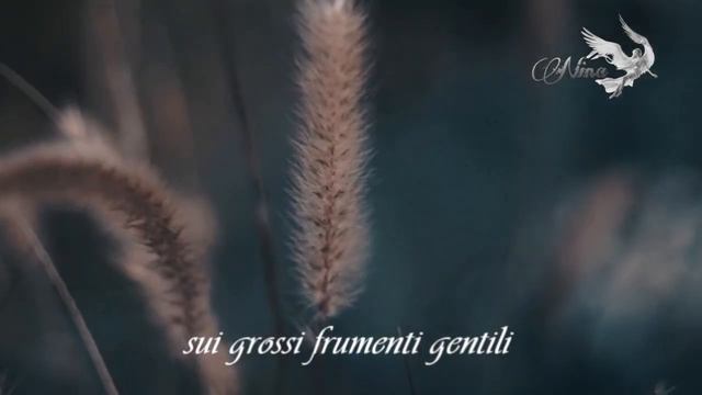 Alda Merini :💕Son nata il 21 a Primavera💕 смотреть онлайн