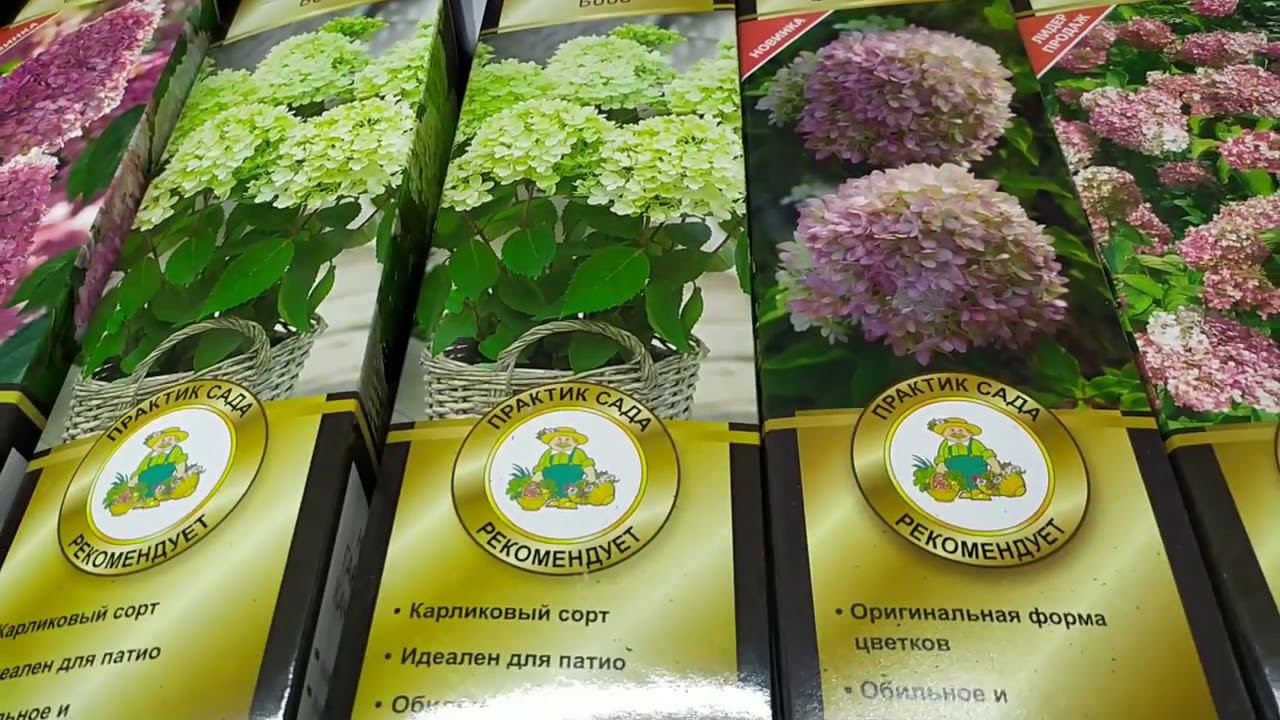 Большой выбор Гортензий, Лилий, Пионов . Магазин Огород Маркет. смотреть онлайн