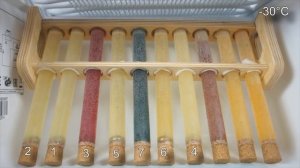 Test Zimna -30°C 75W80, 75W85, 75W90, 80W90 GL-4, 80W90 GL-5