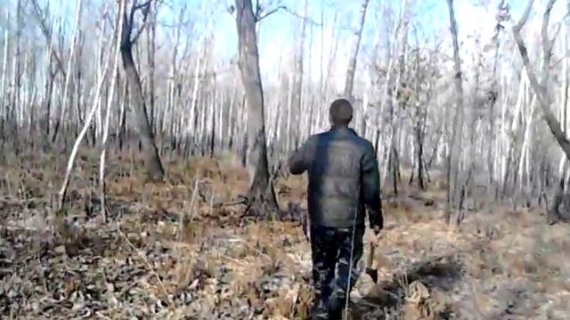 прикол 2016 медведь в смидовече смотреть онлайн