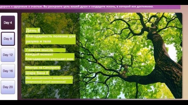 День 8. Благодарность полезна для разума и тела. Опра Уинфри и Дипак Чопра. 21 день медитаций. смотреть онлайн