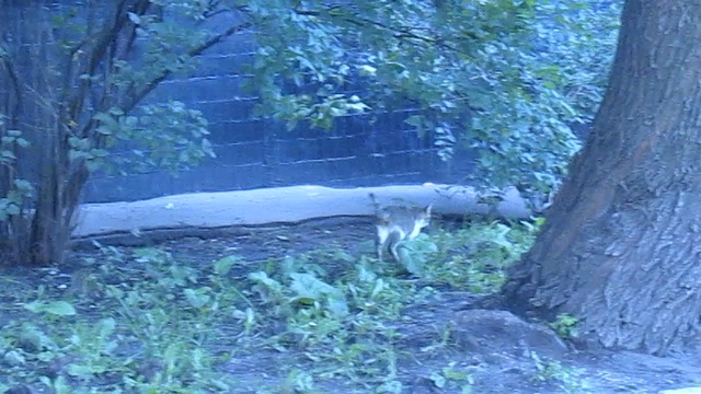 MVI_0367 смотреть онлайн