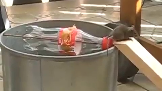 Мышеловка CocaCola  