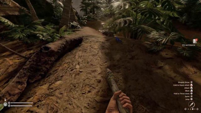 Found A Cave - Green Hell (PS5 Gameplay) - Part 5 смотреть онлайн