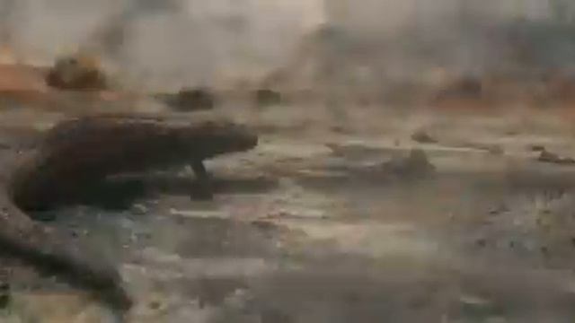 Как зародилась жизнь на земле. смотреть онлайн