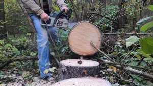 заготовка дров на зиму