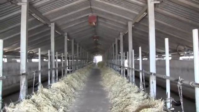 Молочные реки смотреть онлайн