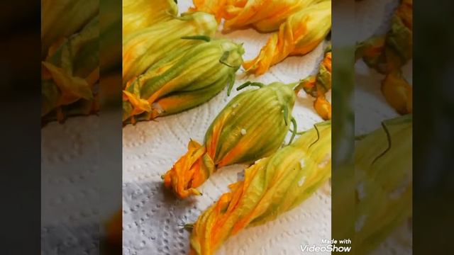 Fiori di Zucca ripieni Con Ricotta смотреть онлайн