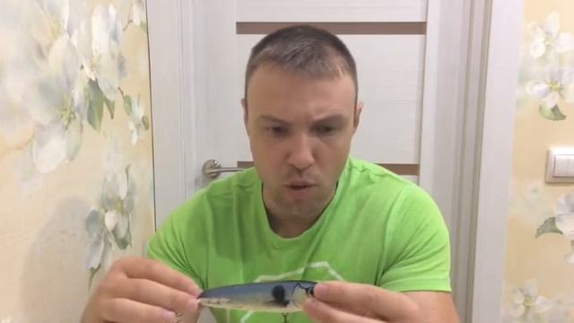 Мини джерки для начинающих рыбаков,с обычными снастями!Salmo Sweeper S 12,Slider 7,10! смотреть онлайн
