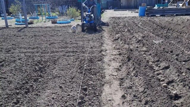 Посадка картошки под мотоблок смотреть онлайн
