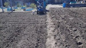 Посадка картошки под мотоблок