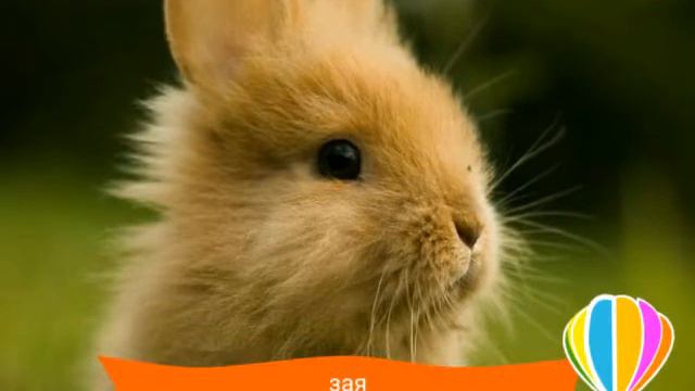 А сейчас время рекламы смотреть онлайн