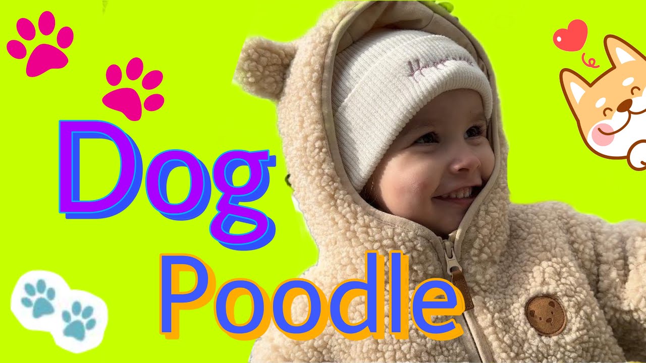 Сеня Влог. Гуляем с Эммой. смотреть онлайн