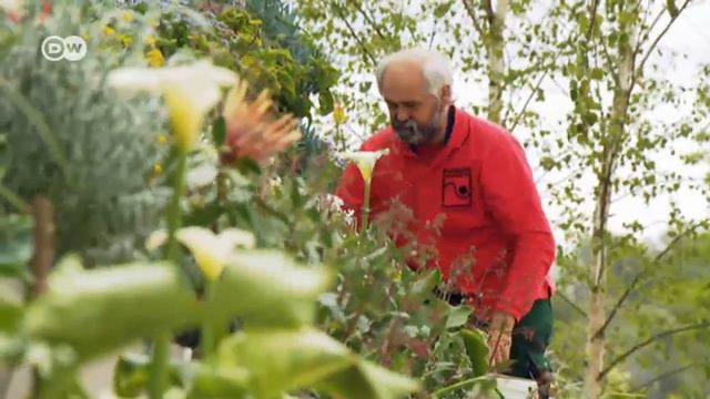 Gang über die Berliner Gartenausstellung IGA | DW Deutsch смотреть онлайн