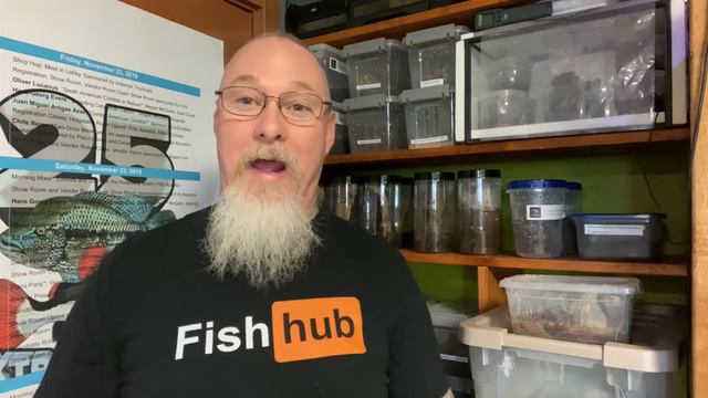 Found the ultimate Christmas present for my Wife смотреть онлайн