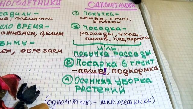ПОГОВОРИМ О МНОГОЛЕТНИКАХ И ОДНОЛЕТНИКАХ, растущих на сибирской дачке смотреть онлайн