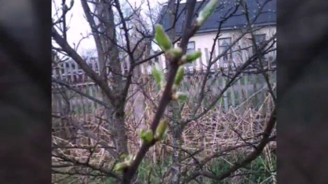 Весна в п. Заплюсье (плохая погода) смотреть онлайн