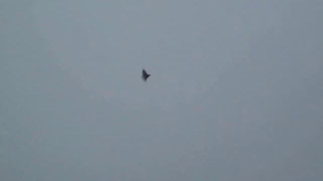 Виктор Киселев 2014 год