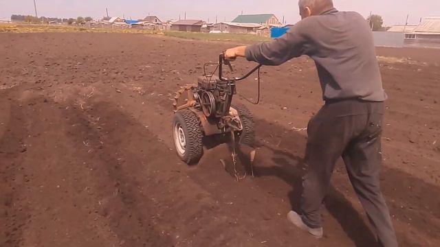 Посадка картофеля в гребни мотоблоком смотреть онлайн