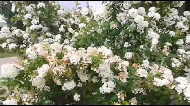Казань Дворец земледельцев смотреть онлайн