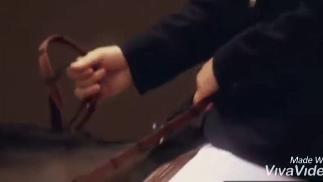Дороже чем воздух|||Конный спорт||| смотреть онлайн