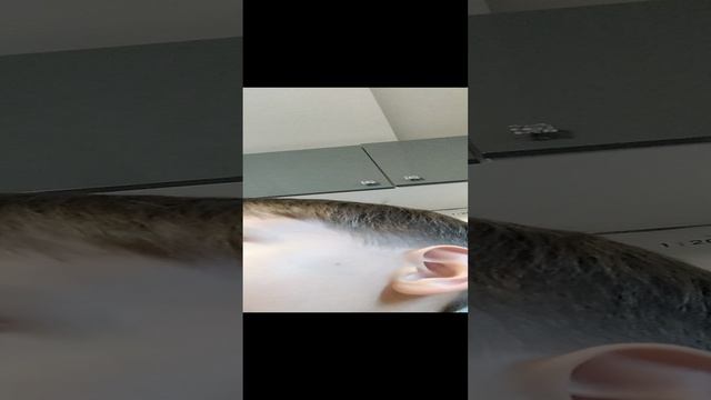 VID_20230912_163038.mp4 смотреть онлайн