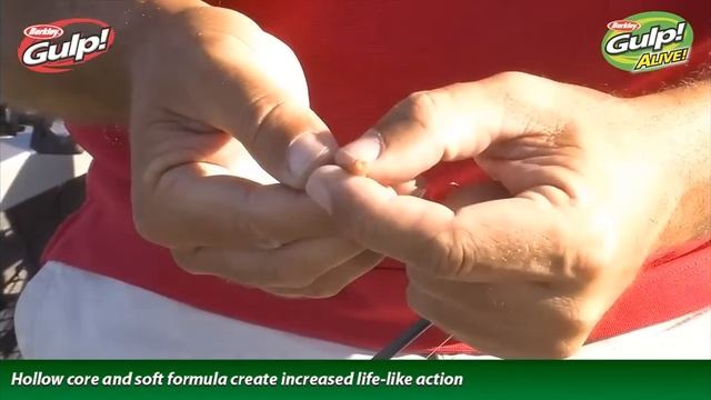 Berkley GULP! KILLER CRAWLER Review: For Serious Fisherman смотреть онлайн