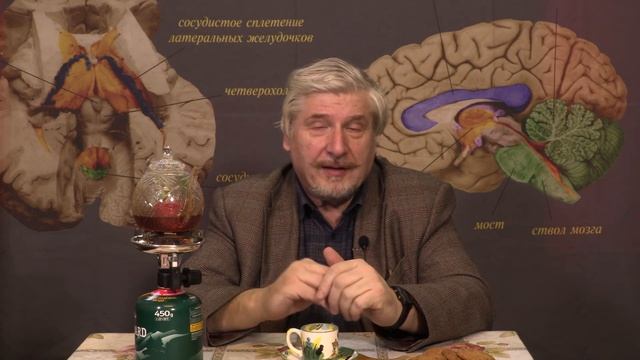 Умные вороны смотреть онлайн