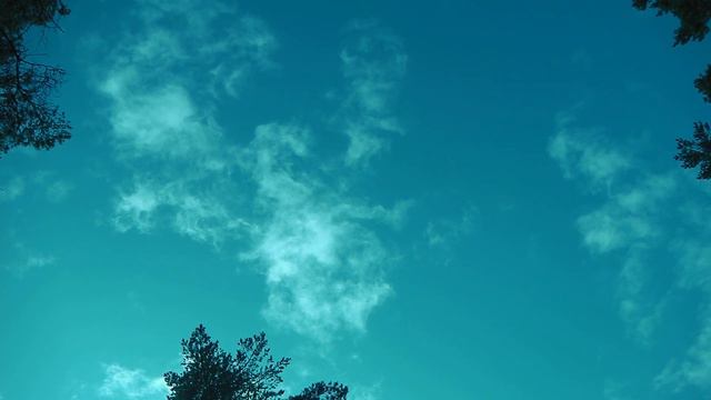 IMGA0374 Псков моно КЧК 03.08.2019 смотреть онлайн