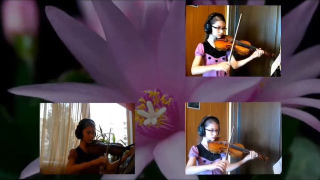 Pachelbel Canon in D (violin experiment) смотреть онлайн