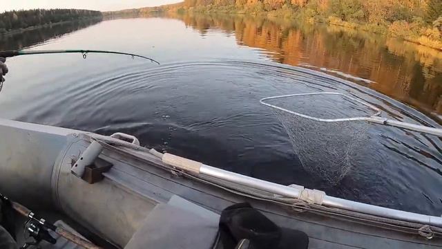 Зачетный жерех смотреть онлайн
