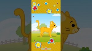 КАК МАЛЕНЬКИЕ КОШАЧЬИ ЖИВОТНЫЕ #shorts #плимплим #детскиестишки