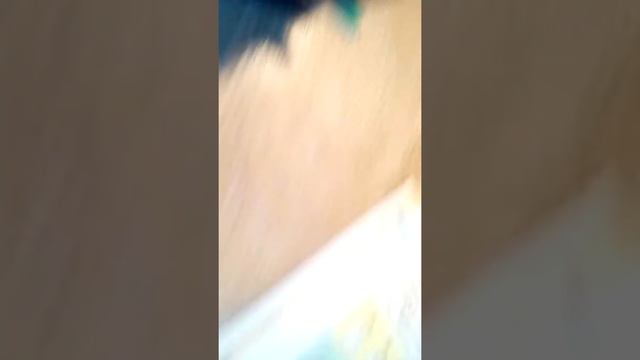 Как сделать рабочую тетрадь без читов смотреть онлайн