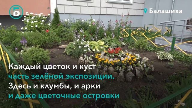 Озеленяем каменные джунгли смотреть онлайн