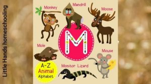 A to Z Animal Alphabet Phonics- Learn Alphabets with Zoo Animals name l PDF?