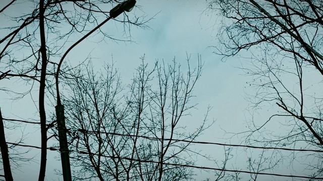 VID_20230402_224924.mp4 смотреть онлайн