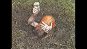 Внутри Лапенко - ℕ𝕚𝕘𝕙𝕥𝕔𝕒𝕝𝕝