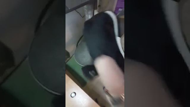 Химчистка кроссовок смотреть онлайн