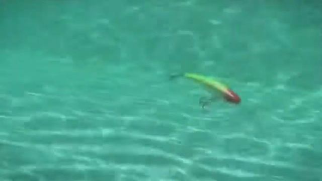 Воблеры Rapala Deep Tail DancerВоблеры Rapala Deep Tail Dancer