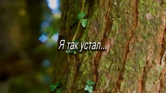 ТЫ МОЙ БОГ СВЯТОЙ Сборник христианских клипов смотреть онлайн