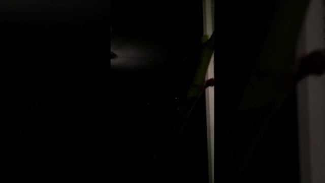 Инжиры в середине января 2022 года смотреть онлайн