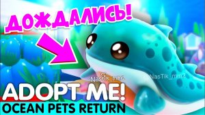 ДОЖДАЛИСЬ!ОКЕАНИЧЕСКИЕ ПИТОМЦЫ ВОЗВРАЩАЮТСЯ в АДОПТ МИ!НОВОЕ ОБНОВЛЕНИЕ!ADOPT ME!