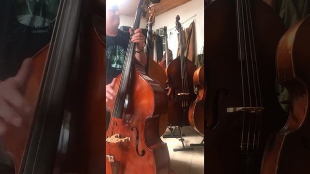3/4 Kontrabass Mittenwald, halbmassiv (Mitte 50er) смотреть онлайн