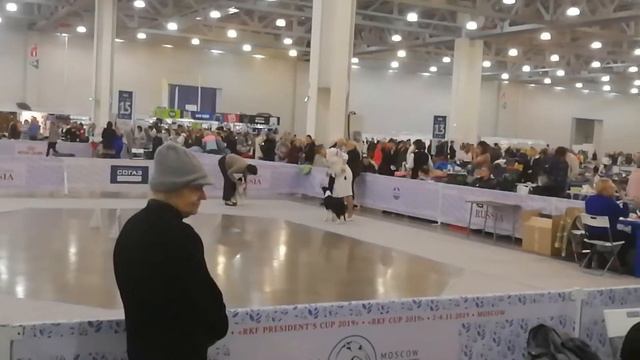 2 ноября 2019 выставка Россия смотреть онлайн