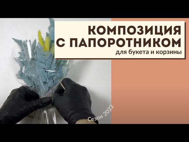 Композиция с папоротником смотреть онлайн