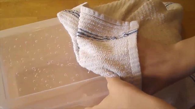 Как начать выращивать улиток? смотреть онлайн