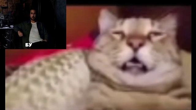 КТО НИБУДЬ ТОЖЕ ИСПУГАЛСЯ? будьте осторожны видео не для слабонервных