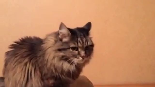 Регенеративный приемник Ванюша 02 смотреть онлайн